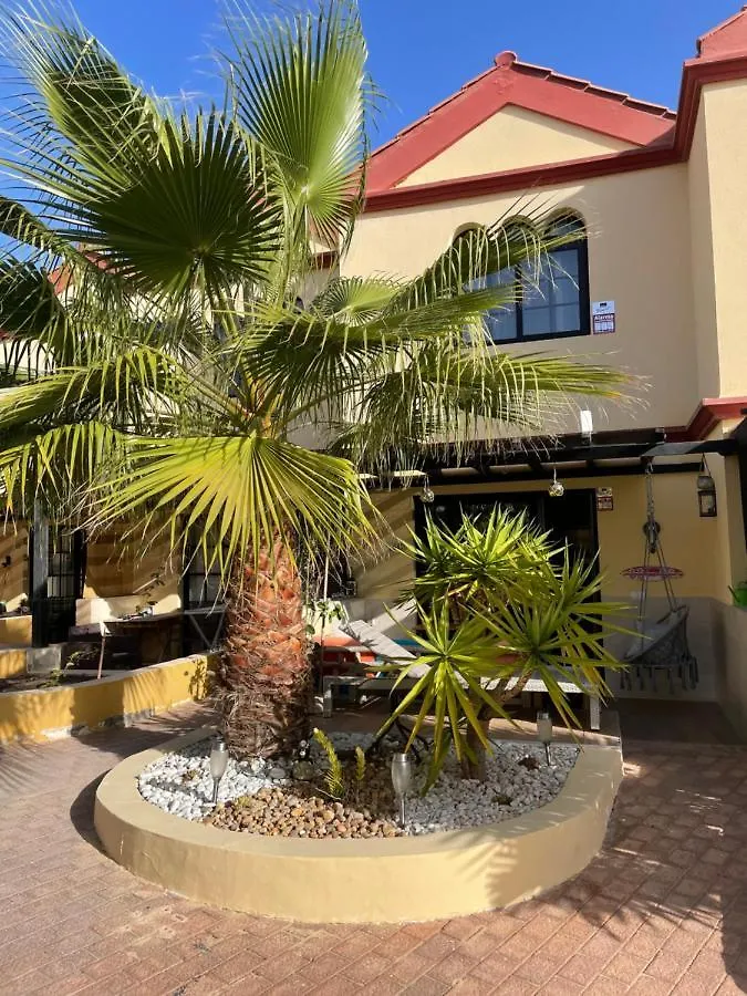 Agpi Fuerteventura Apartments Internet Fibra Wifi Gratis Costa Calma Espagne